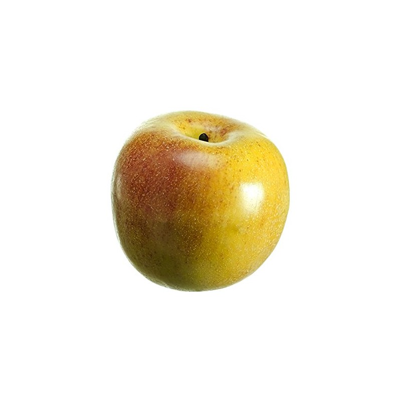 3.25" Weighted Gala Apple Red Green (Pack of 12)
