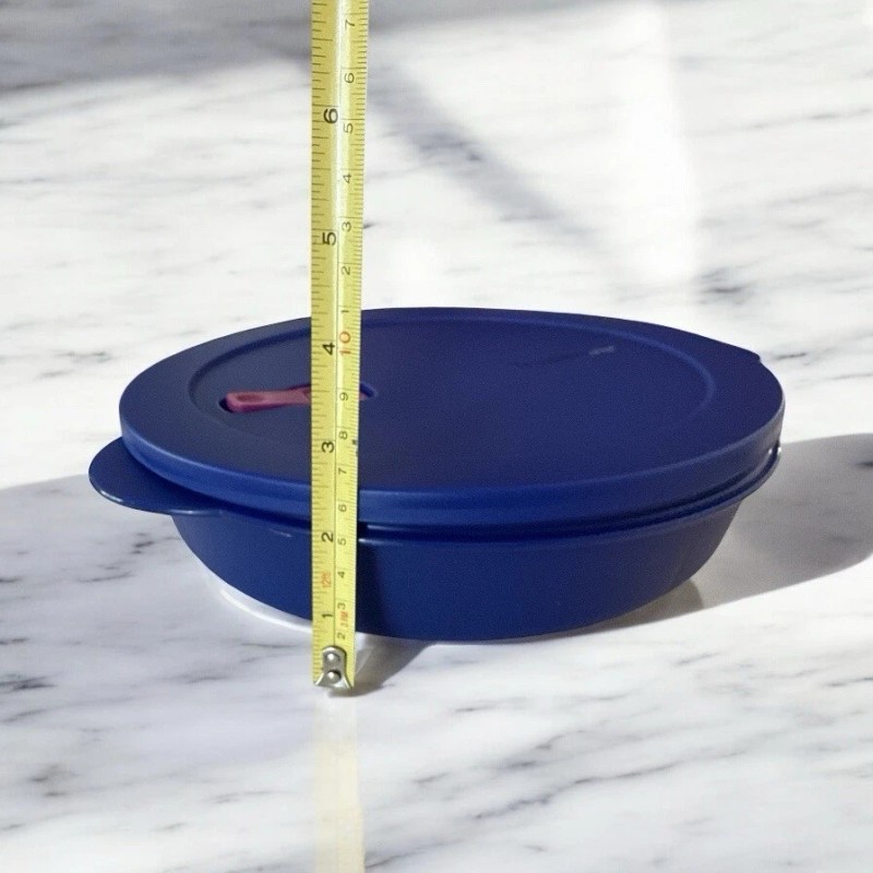 Tupperware CrystalWave Plus Divided Dinner Microwaveable 5 3/4 C Blue