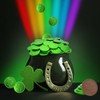 Fruidles Saint Patrick's Day Chocolate Coins Green Coins, Belgian Nut-Free