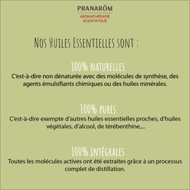 Pranarom Spearmint BIO 0.3 fl oz (10 ml) (PRANAROM Chemo Type Essential Oil)