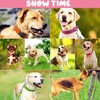 Petbuy Reflective Nylon Dog Collars 2pcs,with Quick Release Buckle,Adjustable Safety