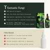 Fantastic Fungi Reishi Mushroom Extract Drops - Chill Elixir Mushroom