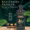 No Thailand Ginger Hair Shampoo Anti-Hair Fall