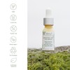 Sea-el Bakuchiol Kelp Eye Serum Plant-Based Skincare Naturally Boosts Under