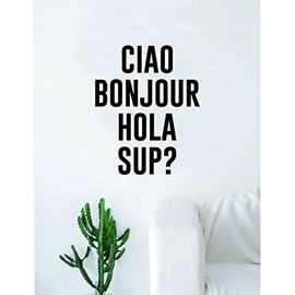 Ciao Bonjour Hola Sup Quote Wall Decal Sticker Room Art Vinyl Funny Hello Languages Inspirational Travel