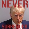 Generic (10 Pack) Never Surrender Trump Mugshot Sticker