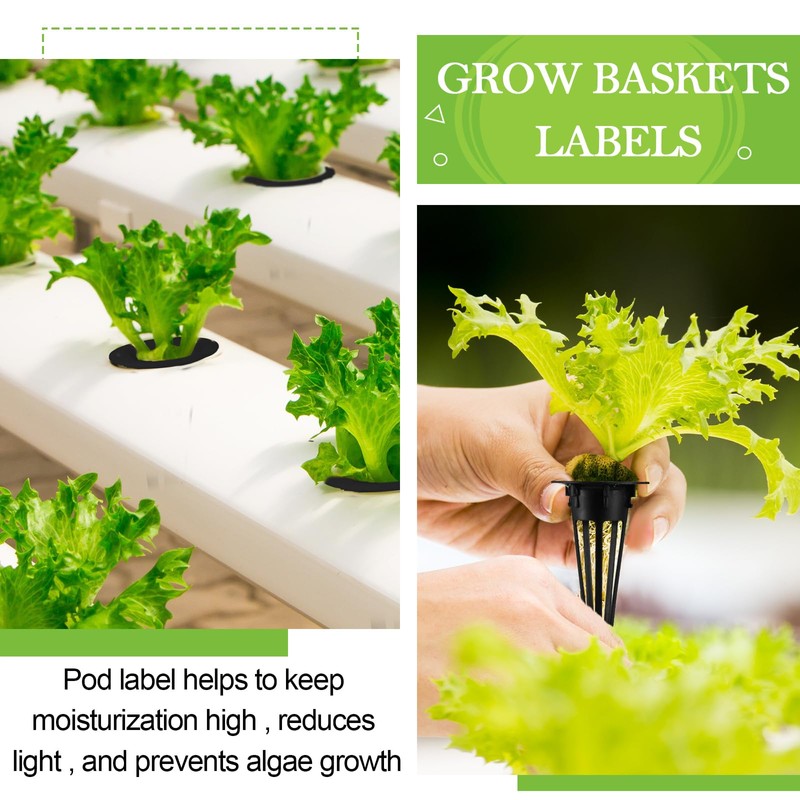 Cunhill 100 Pcs Hydroponic Growing Kit Include 50 Pcs Plant