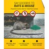 Kaput Rat & Mouse Bait- Effective Warfarin Formula for Rodent