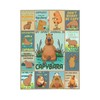 Capybara Blanket Gift for Girls Boys Kids Animals Lovers Soft