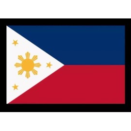Unbranded 2"x 3" PHILIPPINES Flag Patch- Easy iron on (heat press)