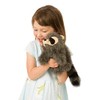 Folkmanis Baby Raccoon Hand Puppet, Gray, 1 EA
