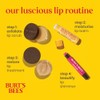 Burt's Bees Lip Balm, Moisturizing Lip Shimmer for Women, for