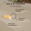 Solgar SOLGAR? Vitamin B-Komplex mit Cholin und Inositol - Vitamine