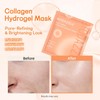 BioZazzle BioCollagen Real Deep Facial Mask Moisturizing Overnight Hydrogel Minimizes