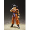 Bandai Son Goku {A Saiyan Raised On Earth Ver.} [Dragon