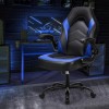 HOMEFLA Computer Gaming Desk Chair Ergonomic Lumbar Support with Flip-up