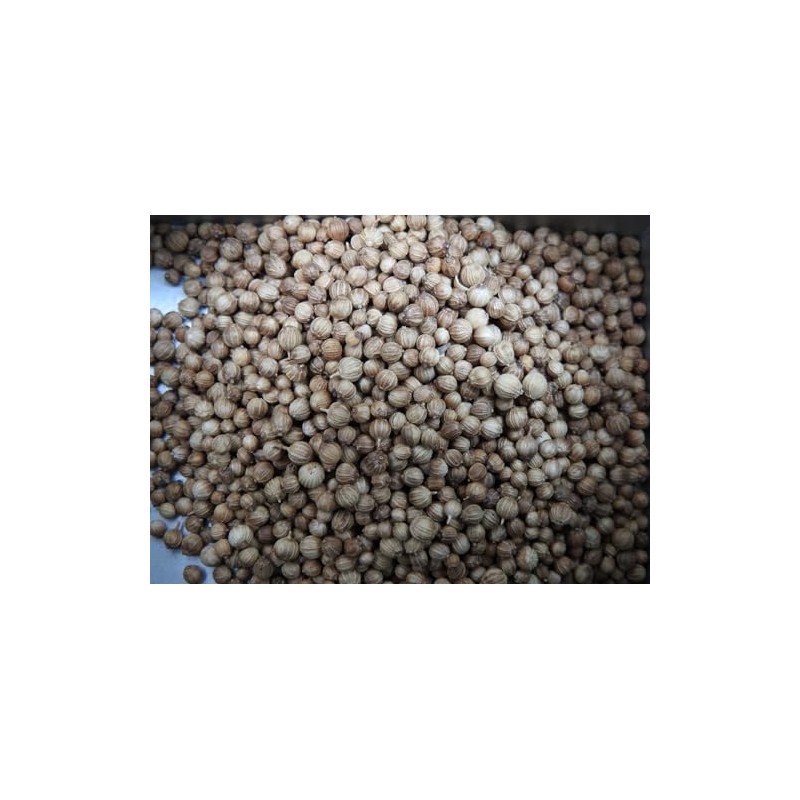Viridis Hortus - Coriander Herb - 500 (5g's) Long Established