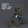 Jolifield Step in Dog Harness with Leash Set, Adjustable Soft