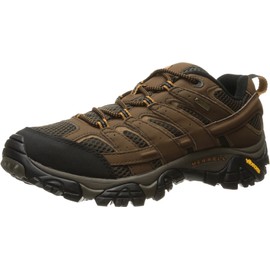 Merrell Men's Moab 2 Gtx Hiking Shoe, Earth, 7.5 W US