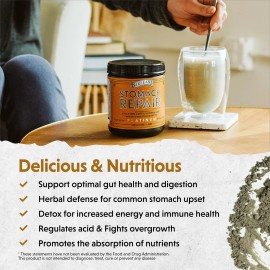 Suplemento en polvo para reparación de estómago Barlean's salud intestinal fibra y sup...