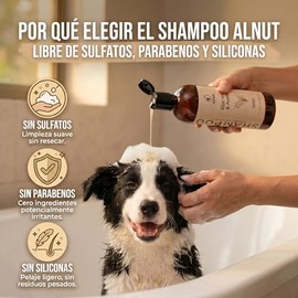 Shampoo para Perros y Cachorros - Sin Sulfatos ni Parabenos - Espuma de Baño, 480 ml (Aloe Vera y Avena)