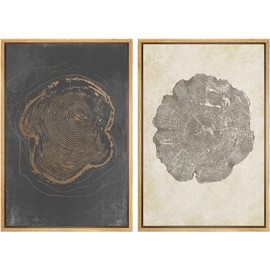 SIGNWIN Framed Canvas Print Wall Art Set Pastel Grunge Forest Tree Rings Abstract Shapes Illustrations Modern Art Decorative Nordic Multicolor for Living Room, Bedroom, Office - 16"x24"x2 Natural