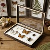 Cabilock Wooden Display Case Wooden Collection Box with Clear Glass