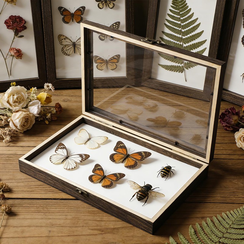 Cabilock Wooden Display Case Wooden Collection Box with Clear Glass
