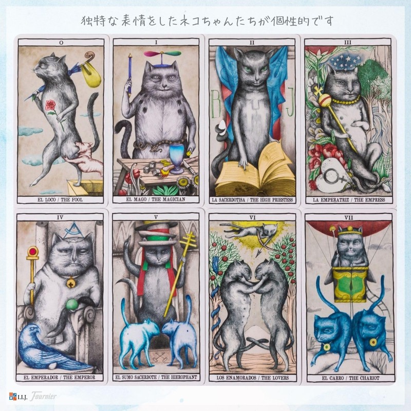Tarot Cards, 78 Cards, Tarot Divination, Tarot Cats, Japanese Instruction
