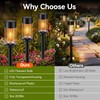 Sunshine Star LED Solar Pathway Lights Outdoor with Metal, 2