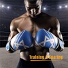 Boxing Training Gloves, 10oz, Shock Absorbing, PU Leather, for Men,