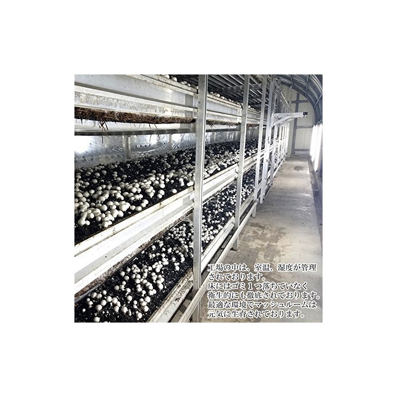 Mush-mizuni BS Boiled Mushrooms from Funagata-machi, Yamagata Prefecture, Nekoposu