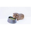 High Desert Timothy Grass Hay Pellets for Rabbits, Guinea Pigs,