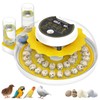 Quail Egg Incubator for Hatching 40 Quail Eggs with Automatic