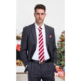 Hi-Tie Silk Ties for Men Plaid Paisley Striped Necktie Pocket Square Cufflinks Set Formal Business,White and Red Stripe