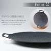 AITECNO Multi-Griddle, No Seasoning Required, Iron Plate, 13.0 inches (33