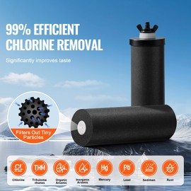 Happybuy Gravity-fed Water Filter System, 2.25G 304 Stainless-Steel Countertop System, Water Filtration System, Reduces Lead and up to 99% of Chlorine, with 2 Carbon Filters