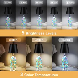 Wireless Bottle Lamp,Wine Bottle Lights with Remote,2000mAh Touch Table Lamp Shades with RGB String Lights and Timer,5-Level Brightness &3 Color Temps Battery Operated Lamp for Living Room,Bar(2 Pack)