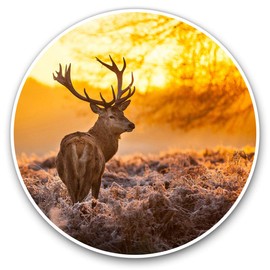 2 x 30cmVinyl Stickers - Winter Deer Stag Snow Scotland Decals for Car Van Luggage Scrap Book Fridge #8110