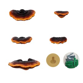 Mini Reishi Mushroom Wall Shelves, Premium Simulation Mushroom Shelf Decoration Set for Garden