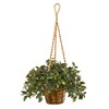 Nearly Natural 30in. Mini Melon Artificial Plant in Hanging Basket
