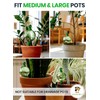 16 Oz Plant Watering Globes for Indoor Plants with Metal