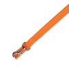 Zack & Zoey Basic Nylon Dog Leash, 4-Feet x 5/8-Inch