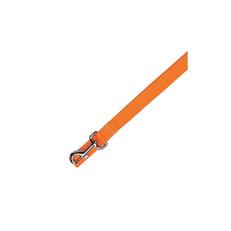 Zack & Zoey Basic Nylon Dog Leash, 4-Feet x 5/8-Inch
