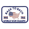 United States Back To Back World War Champs USA Patriotic Flag Patch Cap Iron