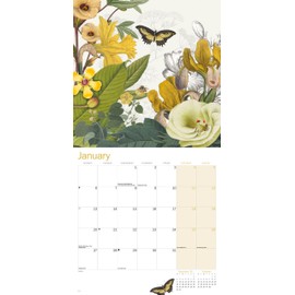 2025 Royal Botanic Gardens Kew, Floral Illustrated Wall calendarll: Plastic Free Packaging