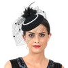 AiduduPet 50S Fascinator Hat for Women Black,Kentucky Derby Fascinators Funeral