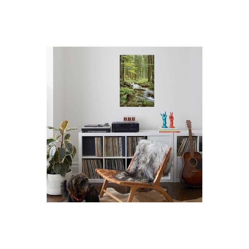 AllPosters Wall Poster Forest Creek, 24x36