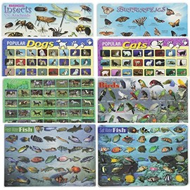 Painless Learning Educational Placemats for Kids Popular Cats and Dogs, Butterflies, Bugs, Horses, Birds, Fresh and Salt Water Fish 8 Pack
