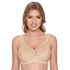 Susa Women's No-Wire Bra (Pack of 2) - Champagne skin,